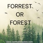 Forrest Or Forest