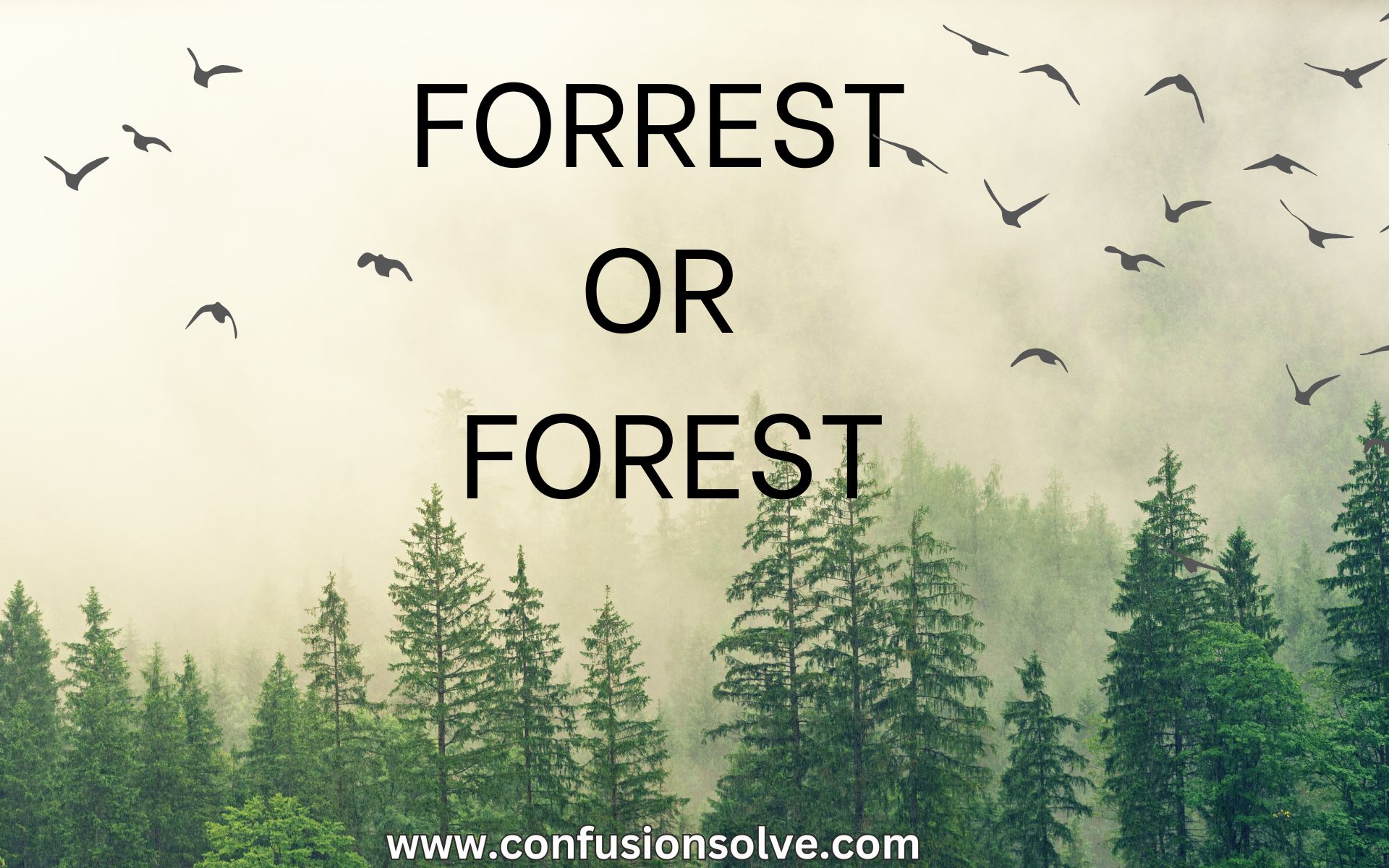 Forrest Or Forest