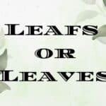 leafs or leaves