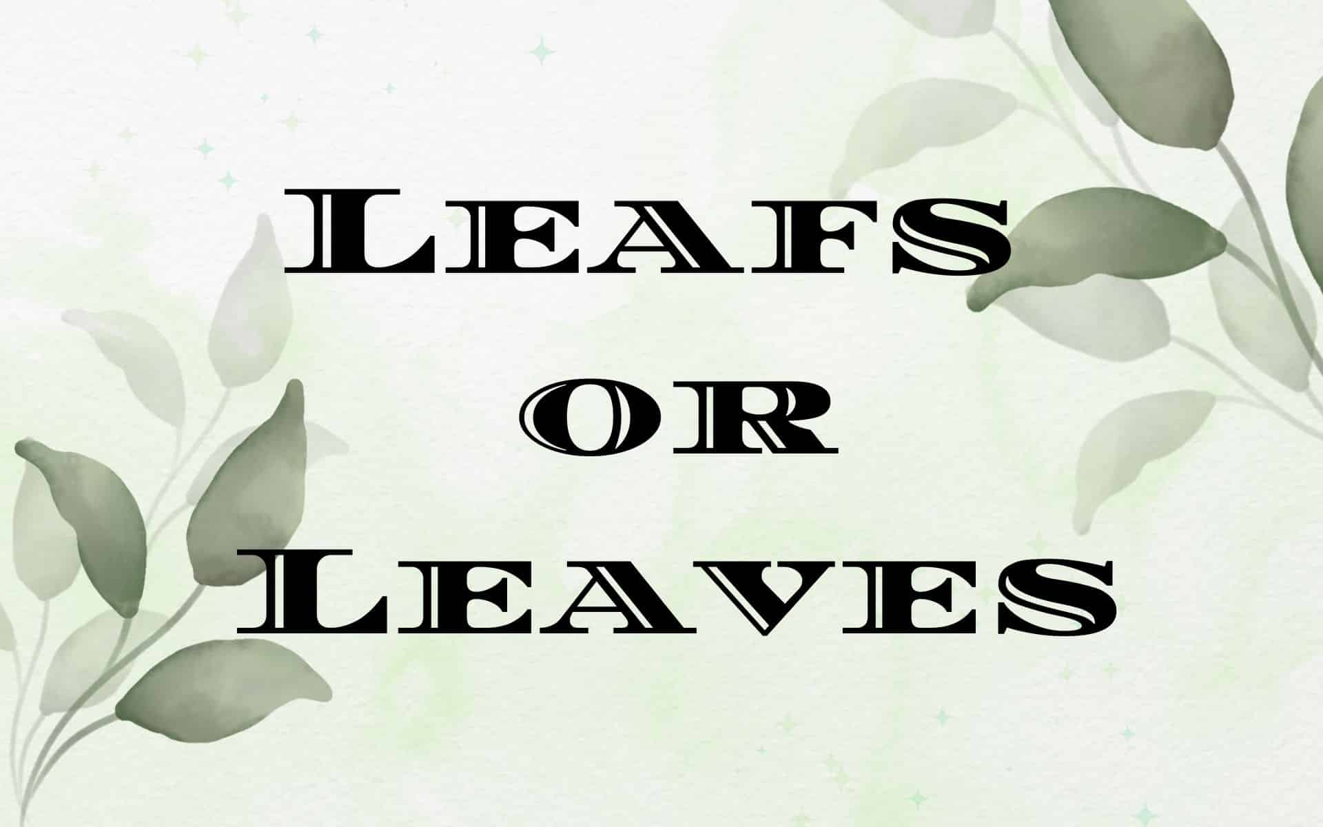 leafs or leaves