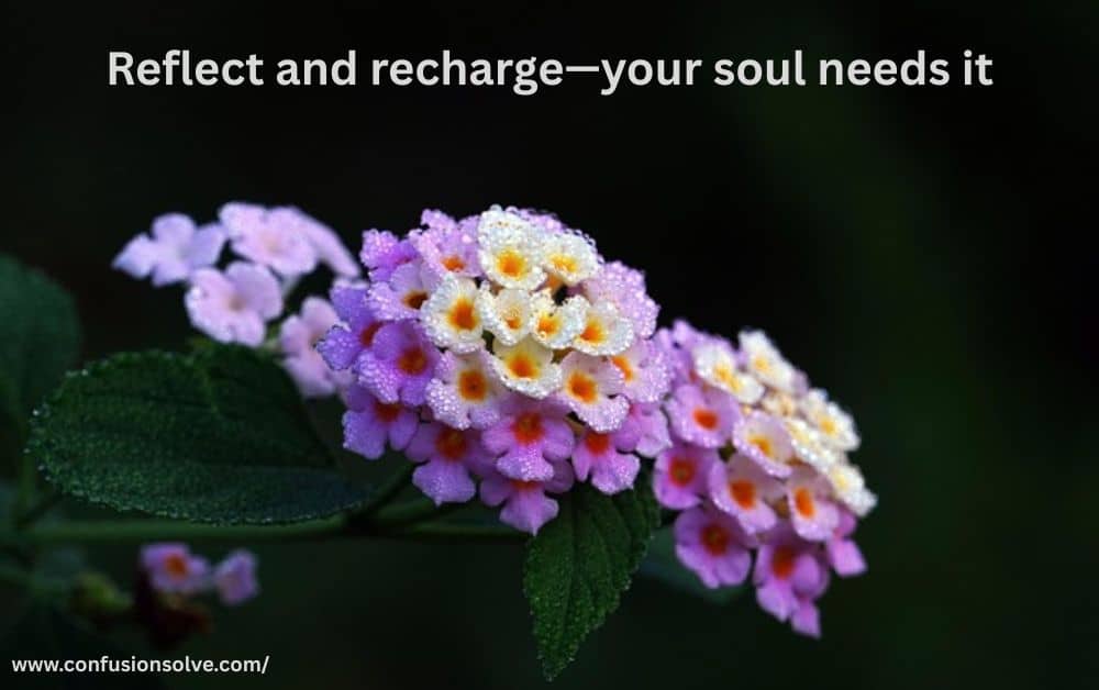 Saturday Blessings