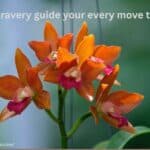 Monday Blessings & Quotes
