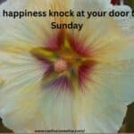 Happy Sunday Messages