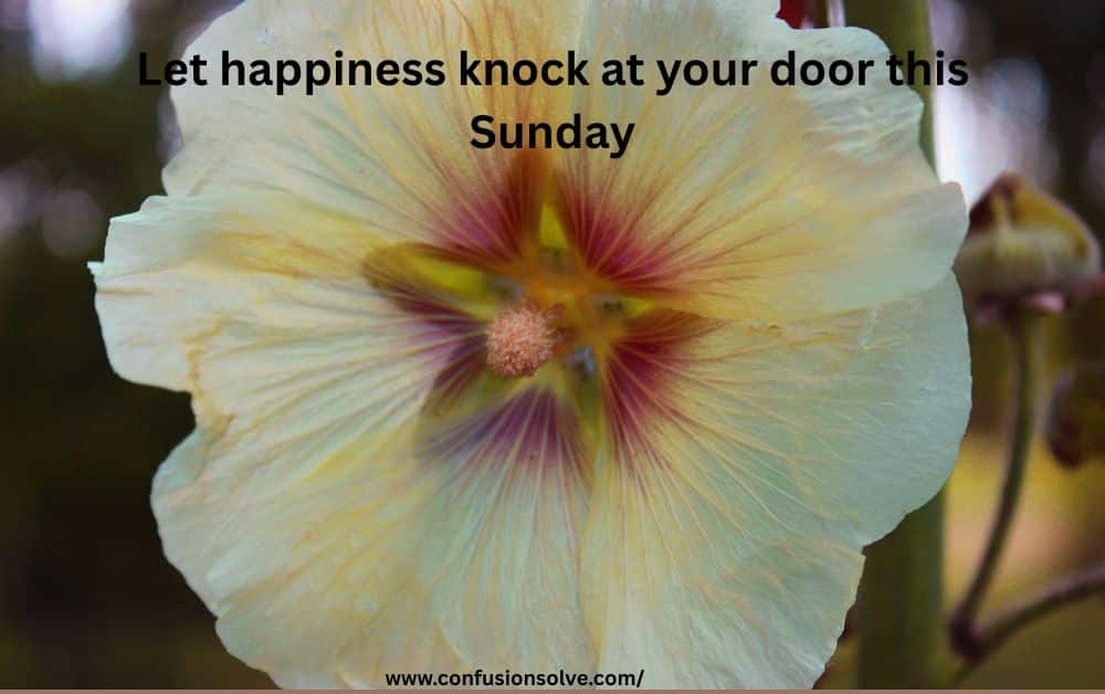 Happy Sunday Messages