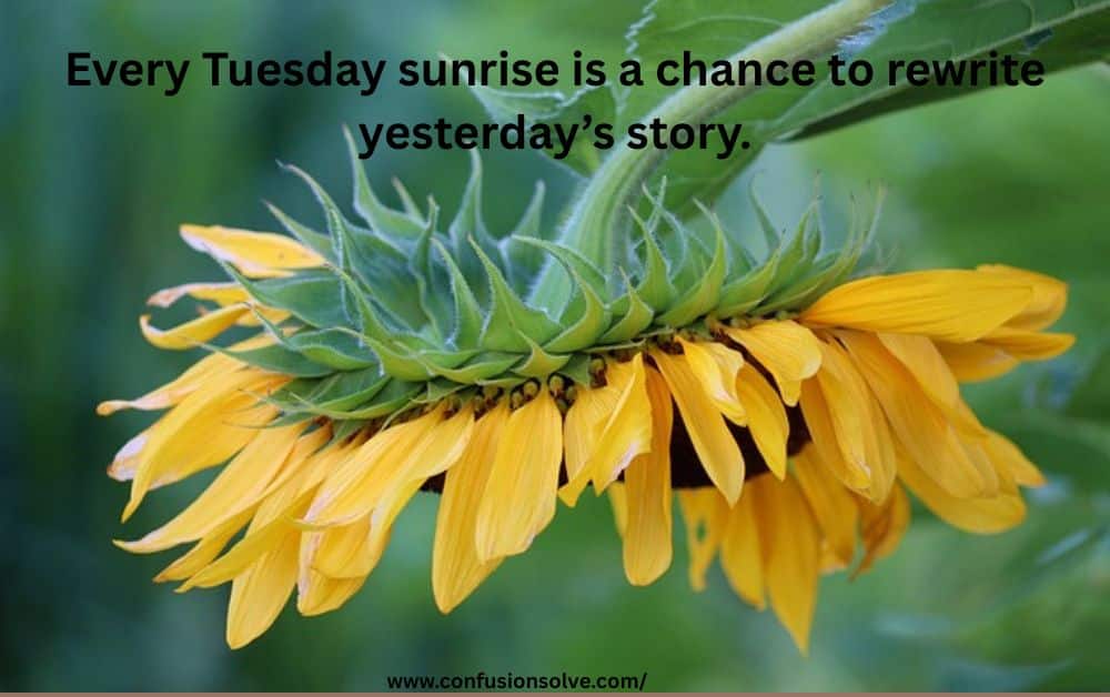 tuesday quotes