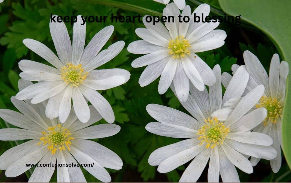Monday Blessing