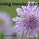 morning monday quotes