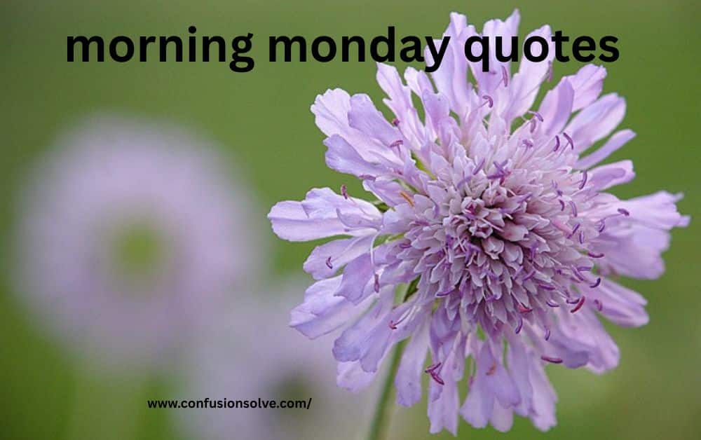 morning monday quotes