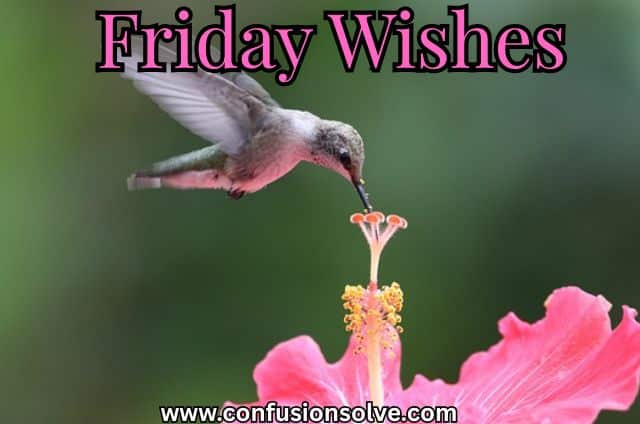 Friday Wishes