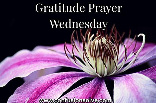 Gratitude Prayer Wednesday