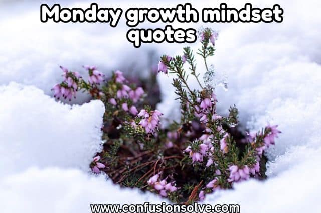 Monday growth mindset quotes