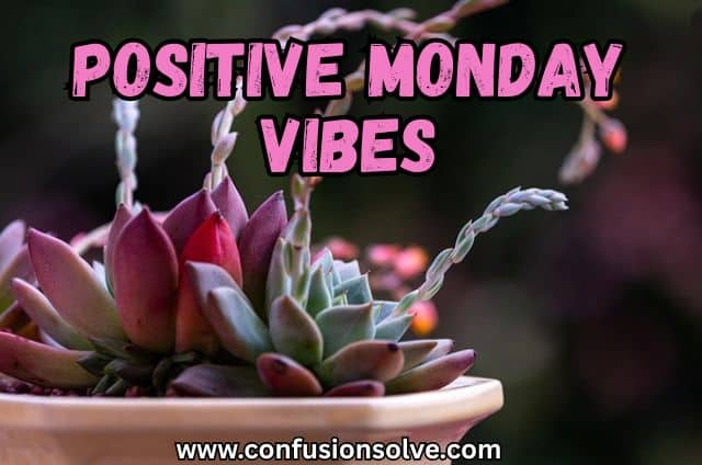 Positive Monday Vibes