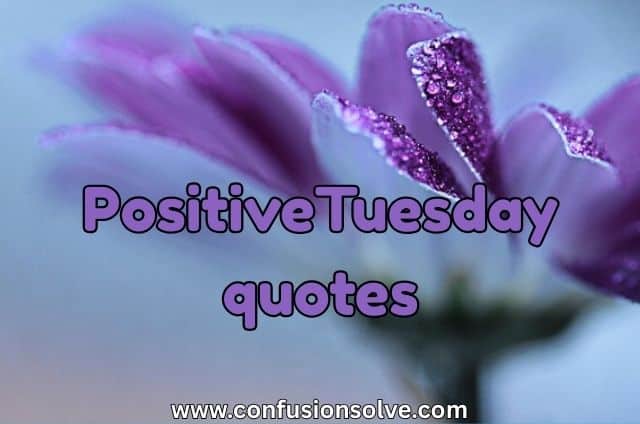 PositiveTuesday quotes