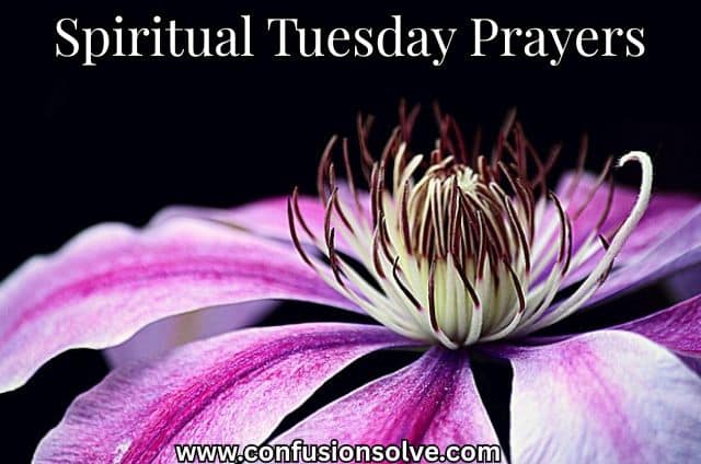 Spiritual Tuesday Prayers
