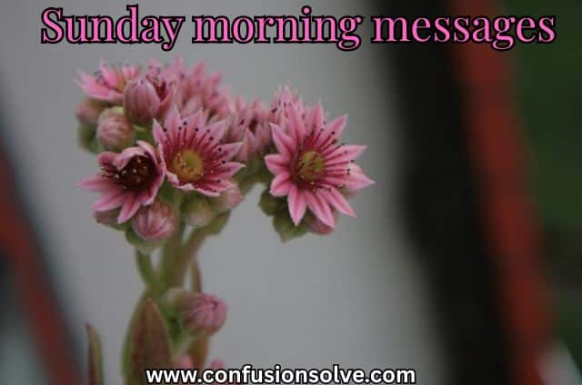 Sunday morning messages