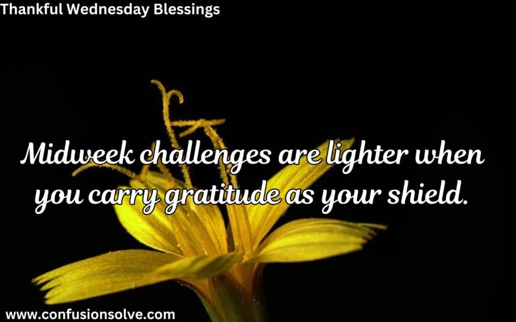 Happy Wednesday blessings
