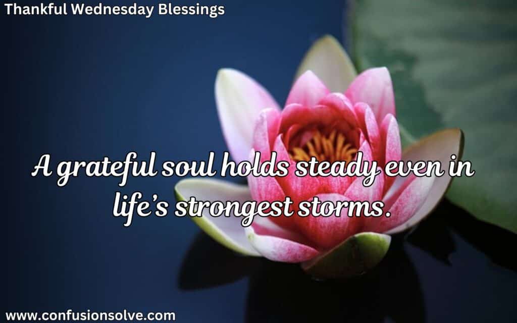 Wednesday blessings