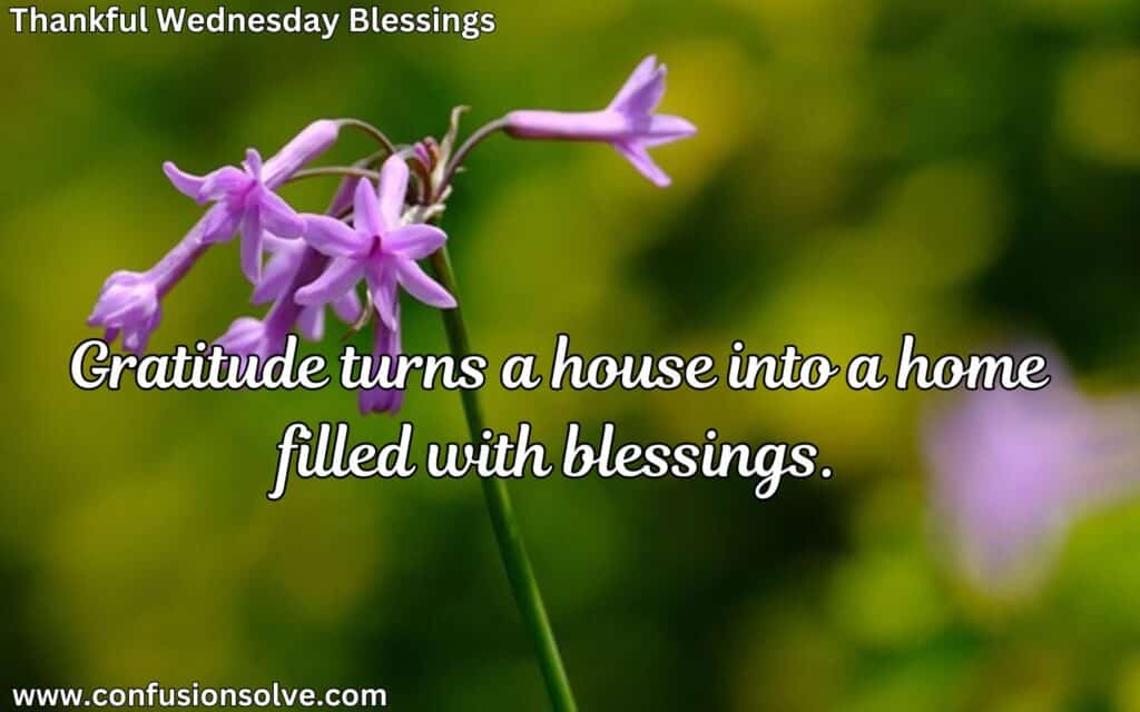 Happy Wednesday blessings