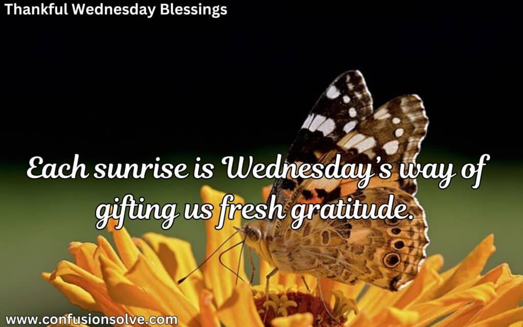 Wednesday morning blessings