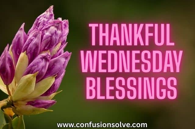 Thankful Wednesday Blessings