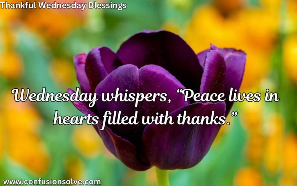 Wednesday morning blessings