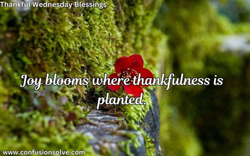 Wednesday motivational quotes