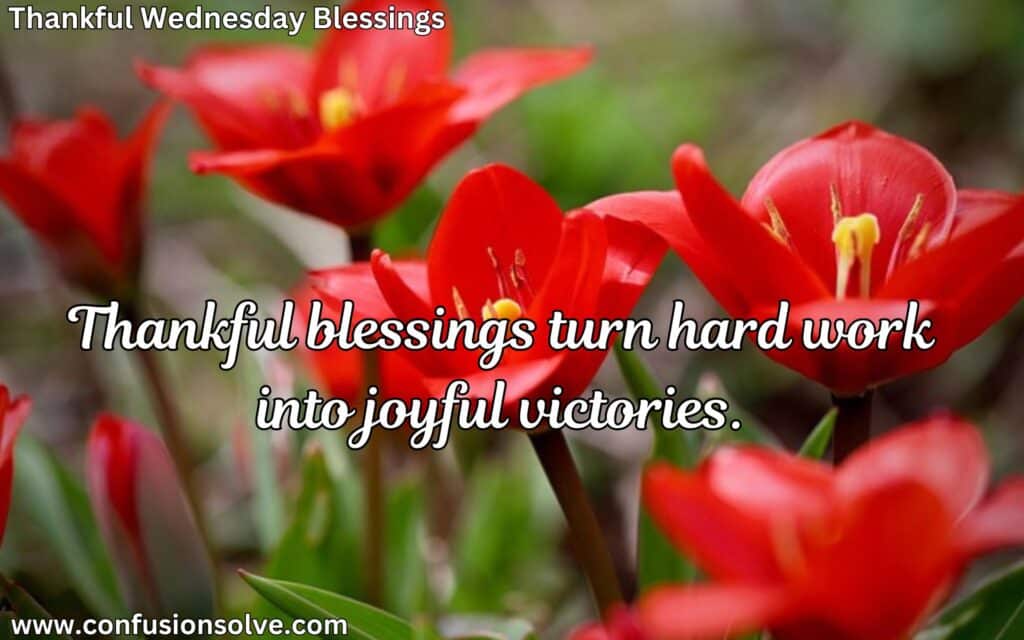 Wednesday prayers
