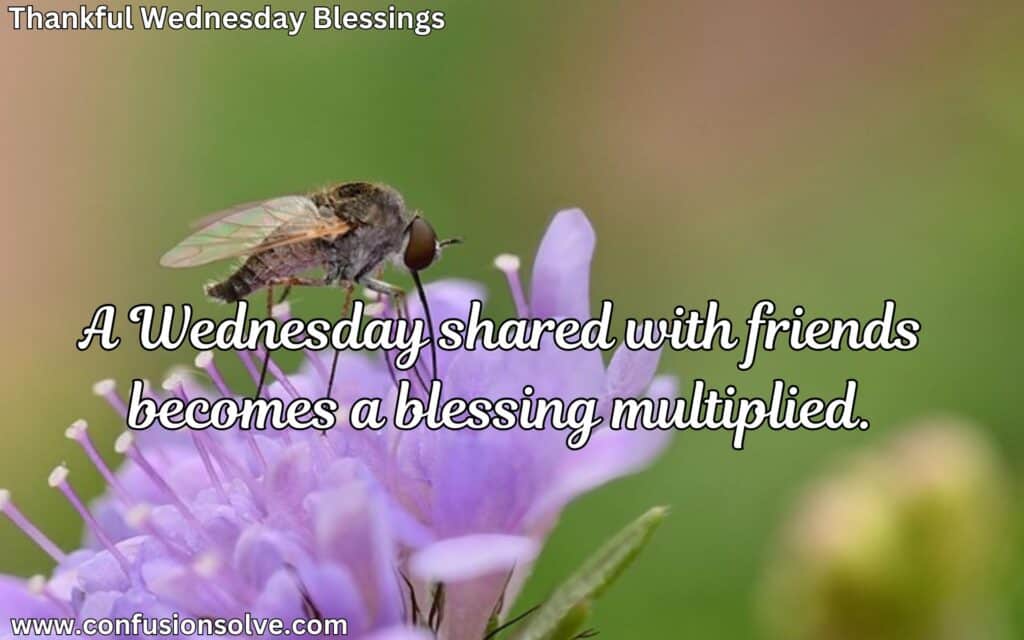 Wednesday quotes