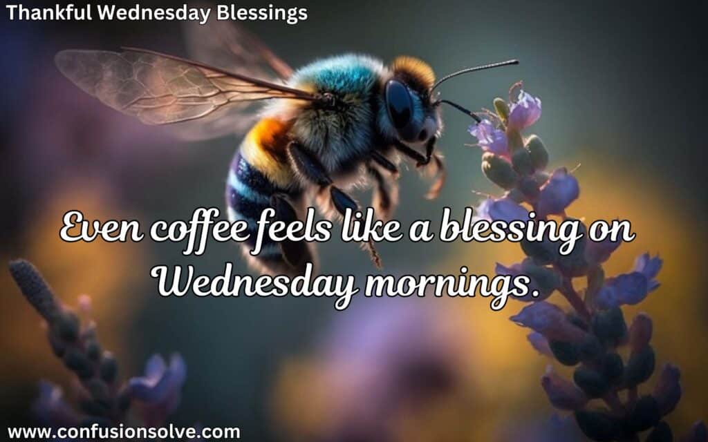Blessed Wednesday images