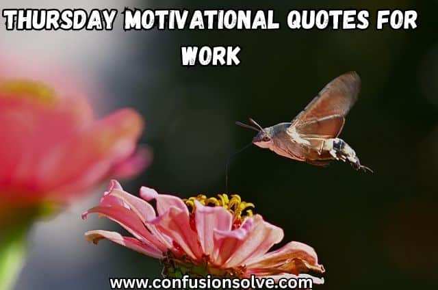 Thursday motivational quotes for work