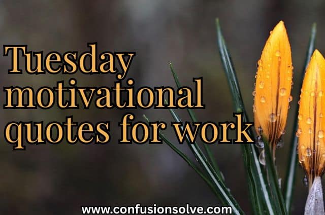 Tuesday motivational quotes for work