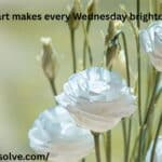 Wednesday Prayers