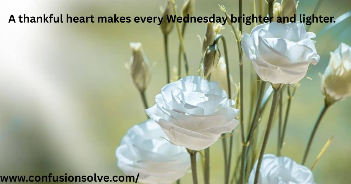 Wednesday Prayers