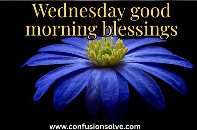 Wednesday good morning blessings