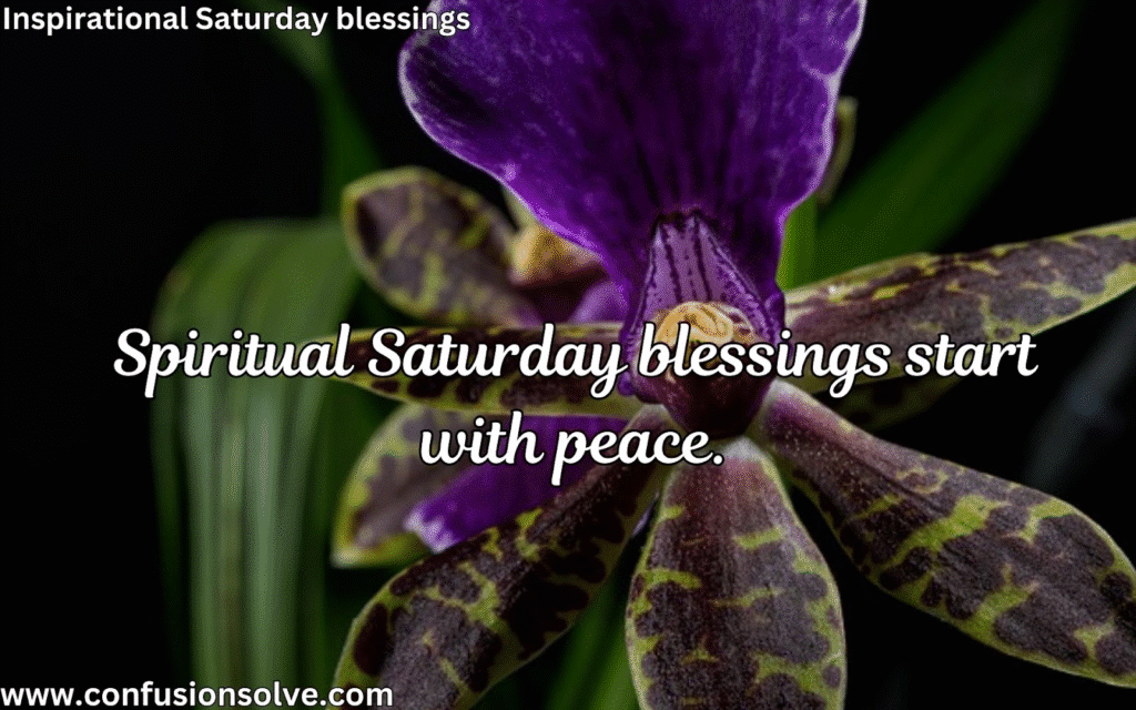 Wise Saturday blessings