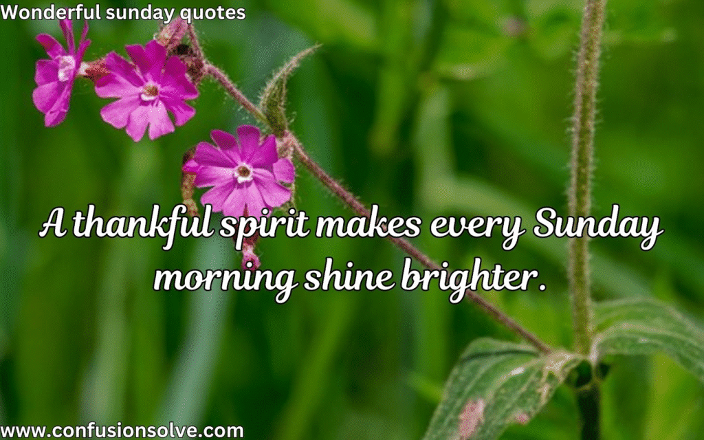 Motivational Sunday quotes