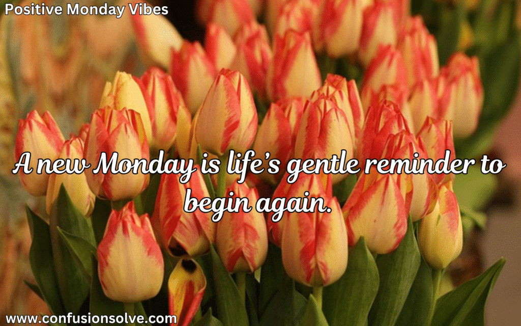 Monday motivation quotes