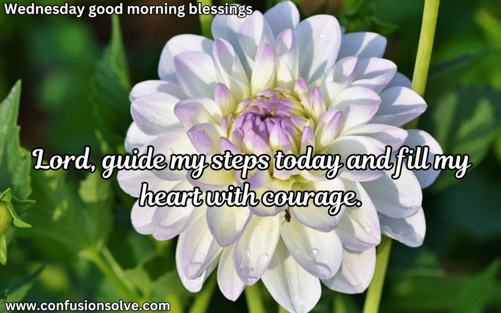Wednesday morning blessings