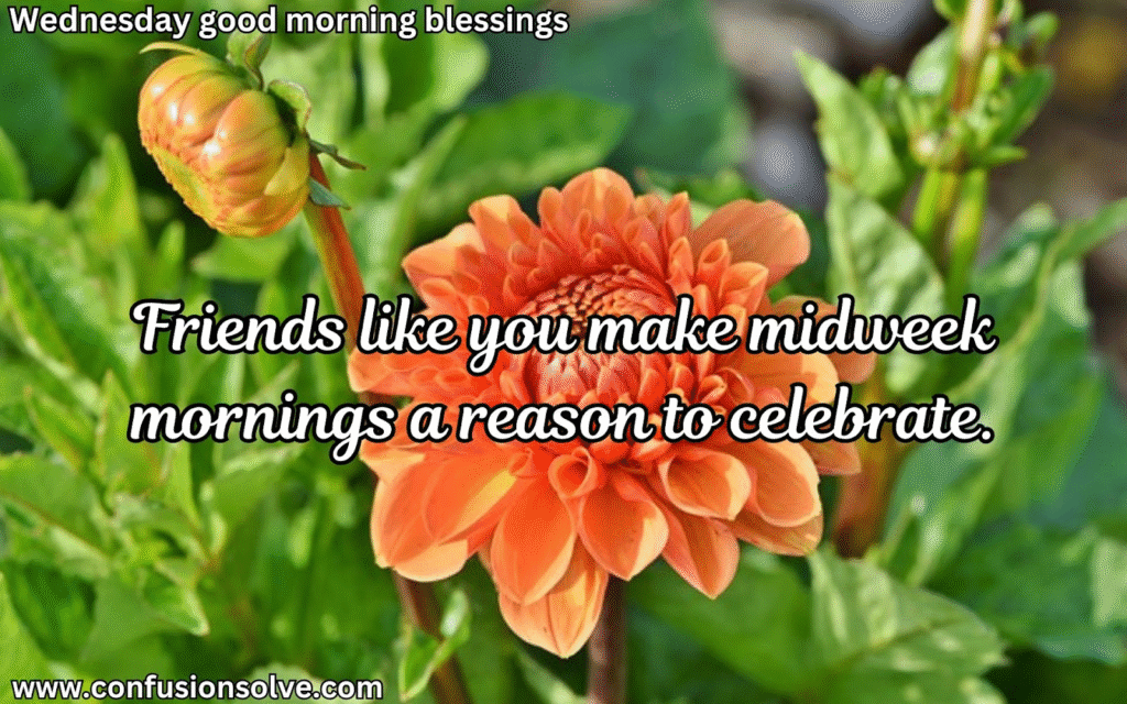 Wednesday positive quotes