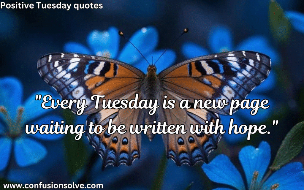 Tuesday Motivation Quotes