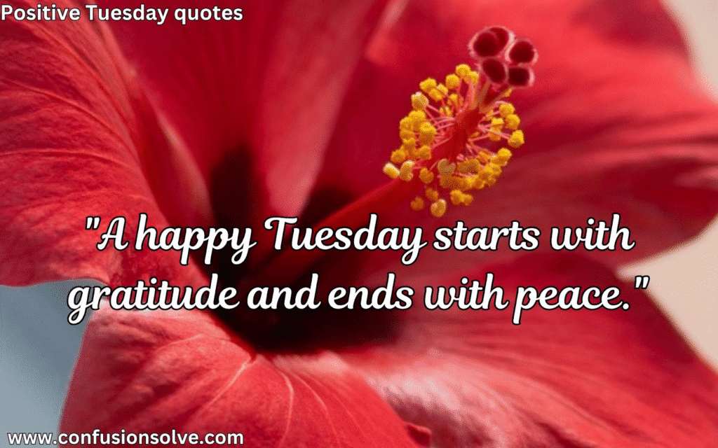 Tuesday Morning Quotes