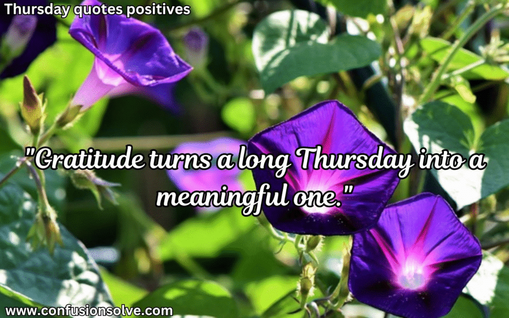 Happy Thursday quotes