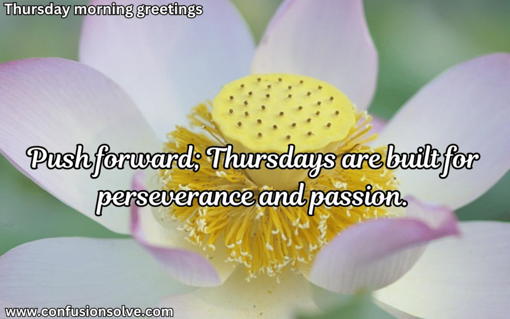 Thursday Motivation