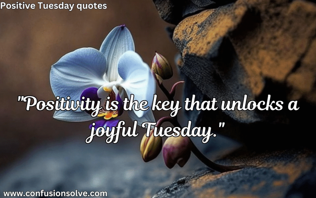 Motivational Tuesday Quotes