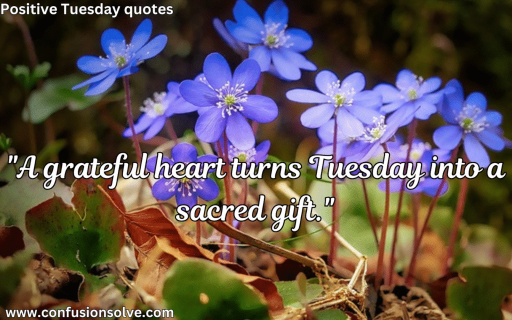 Positive Tuesday Quotes