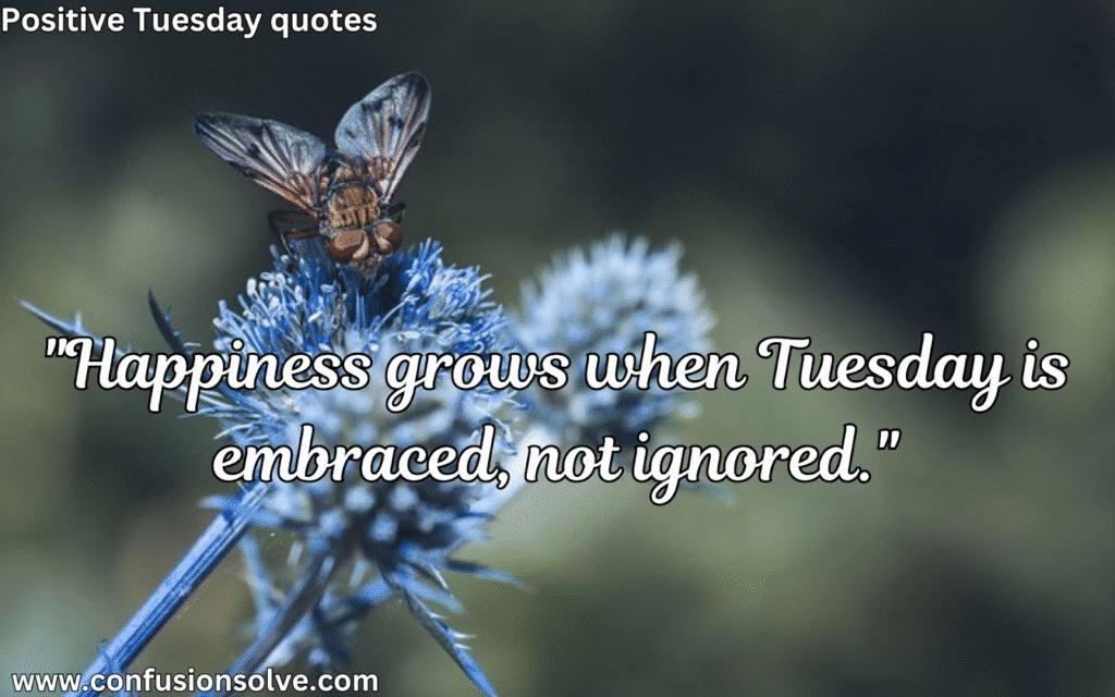 Tuesday Inspirational Quotes