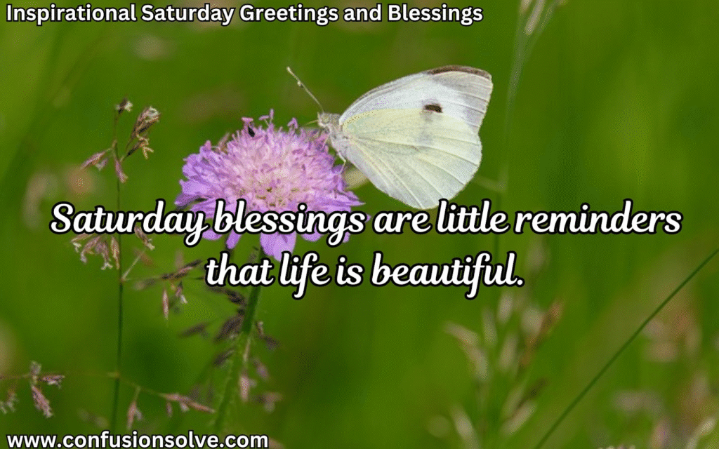 Happy Saturday wishes