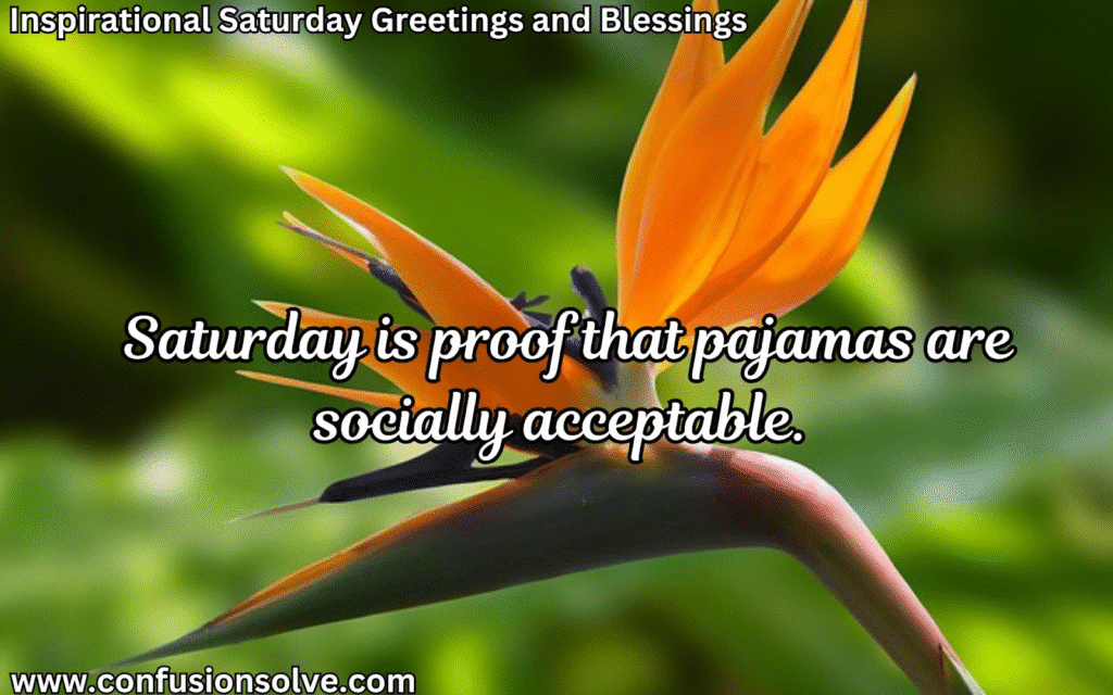 Saturday motivational quotes