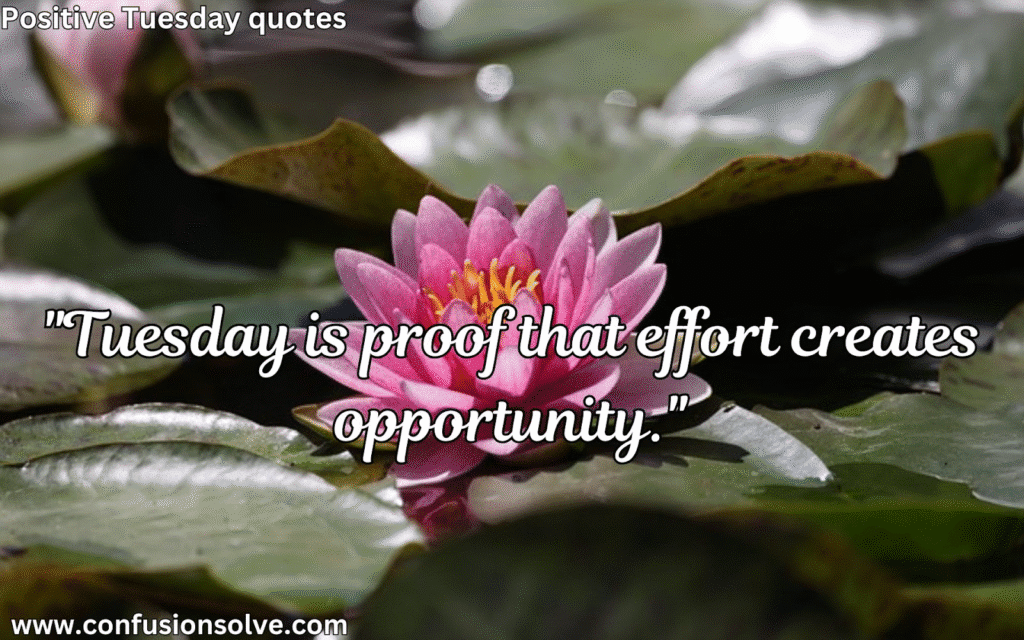 Tuesday Motivation Quotes