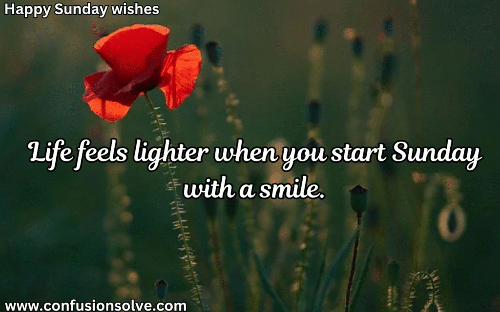 Happy Sunday wishes